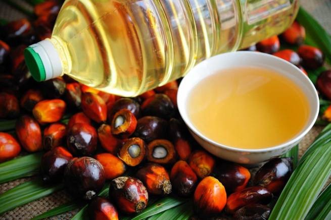 Индонезия запрещает экспорт пальмового масла