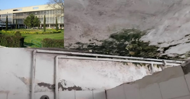 Шок: потолки в Университетском кампусе Салоник гниют от плесени
