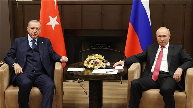 Erdogan y Putin discutieron la situación en torno a Ucrania