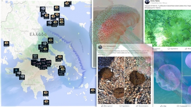 Греция: Обновлена карта пляжей, на которых обнаружены опасные медузы