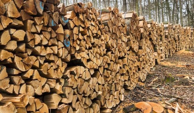 Салоники: двадцать тонн дров... испарились