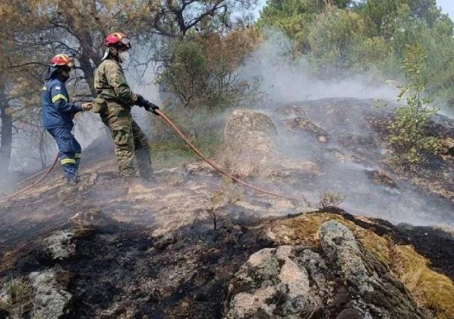Найдена еще одна жертва пожаров в лесу Дадия (видео)
