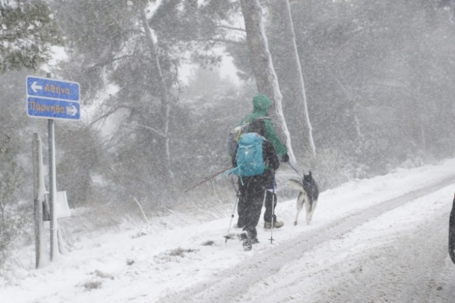 В Грецию пришла зима: снегопад на Парните