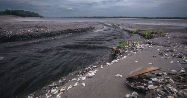 Кому грозят мины и токсичные отходы после катастрофы на Каховской ГЭС