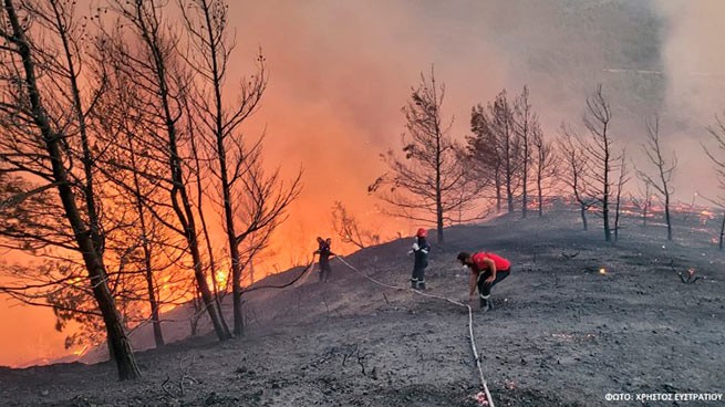 Родос: лесной пожар вышел из-под контроля (видео)