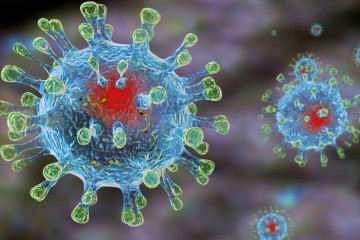 The Guardian: что ученые выяснили о коронавирусе за пять месяцев