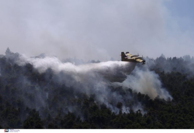 Огромный лесной пожар бушует на Халкидиках