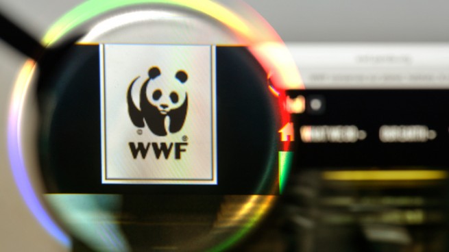 Руководство WWF призывают премьер-министра Греции свернуть нефтегазовые операции