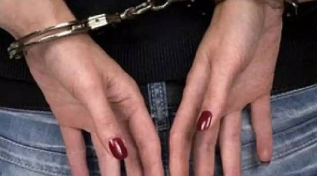 Домашняя помощница арестована за кражу более 500 000 евро