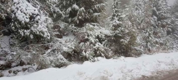 80-летняя гречанка найдена погребенной в снегу