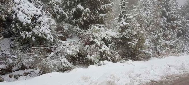 80-летняя гречанка найдена погребенной в снегу