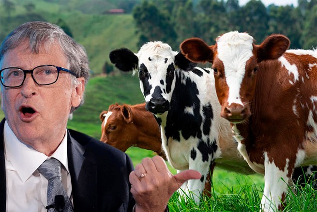 Билл Гейтс: &quot;Коровы — всепланетарное зло&quot;