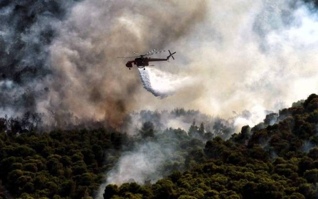 Никос Хардалиас: выжжены более 40 000 акров  земли