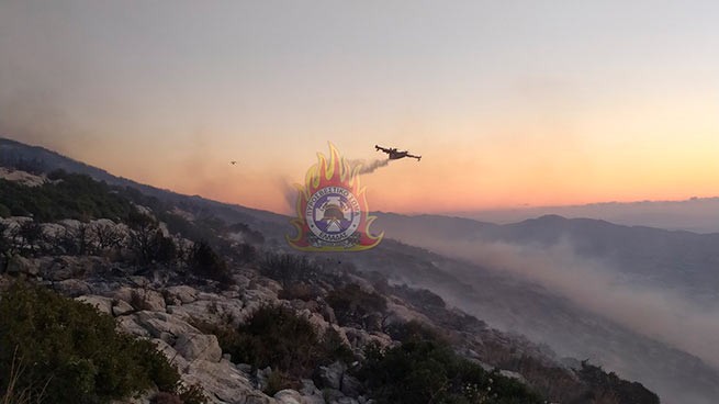 Греция: 67 лесных пожаров за сутки