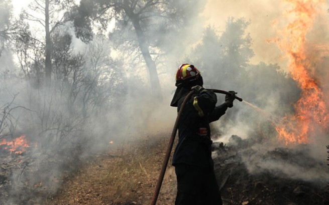 Ветреная погода привела к лесным  пожарам на Эвии