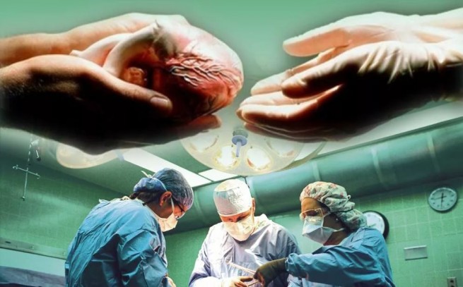 «Дар жизни»: органы 59-летней пациентки пожертвованы для пересадки