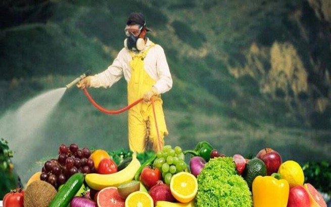 Проверки наличия пестицидов в овощах и фруктах