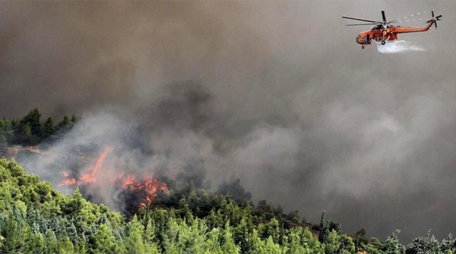 4 день горит лес на острове Эвия