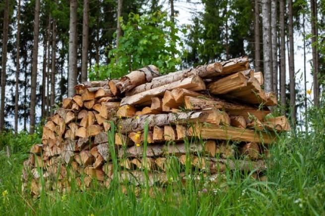 Спрос на дрова в Европе бьет рекорды