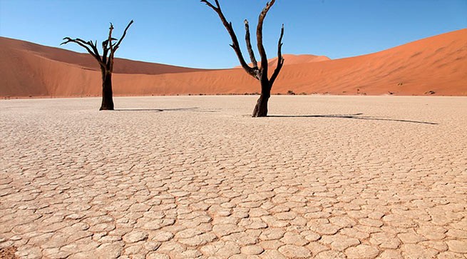 Кошмар опустынивания: не грозит ли Аттике превращение в Дубай