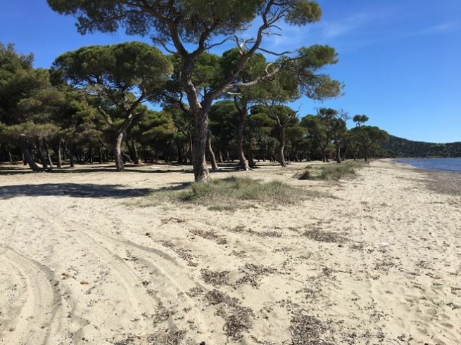 Километровый пляж с золотым песком на расстоянии менее часа езды от Афин