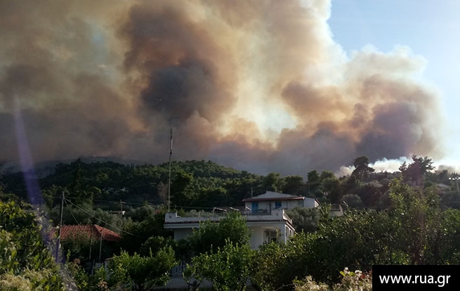 Большой лесной пожар неподалеку от Афин (фото-видео)