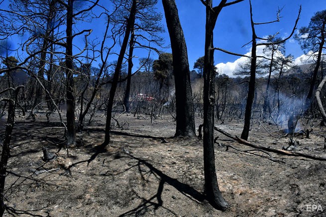 Пожары в Греции: за последние десять лет дотла сгорело 3,5 млн. акров