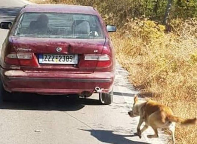 Крит: Человек, который тащил за машиной собаку - арестован