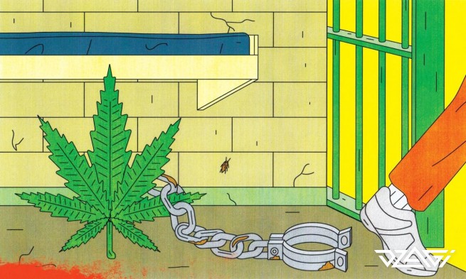 Легализация марихуаны в сша новости марихуана меры пресечения