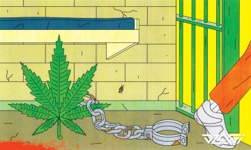 Легализация марихуаны в греции tor union browser hyrda вход