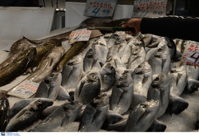 Пирей: 80 кг рыбы изъято на рынке