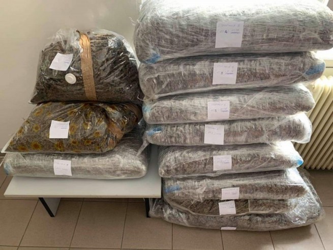 100 кг каннабиса обнаружили у бесцельно слоняющегося гражданина