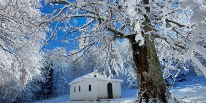 Волшебный зимний пейзаж - заснеженный буковый лес и рождественские виды природы
