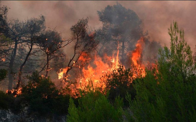 Пожары и засуха угрожают экономике
