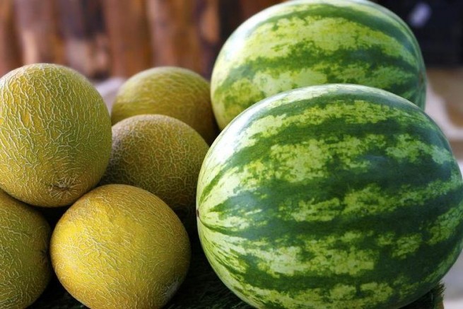 Почему упал экспорт летних фруктов