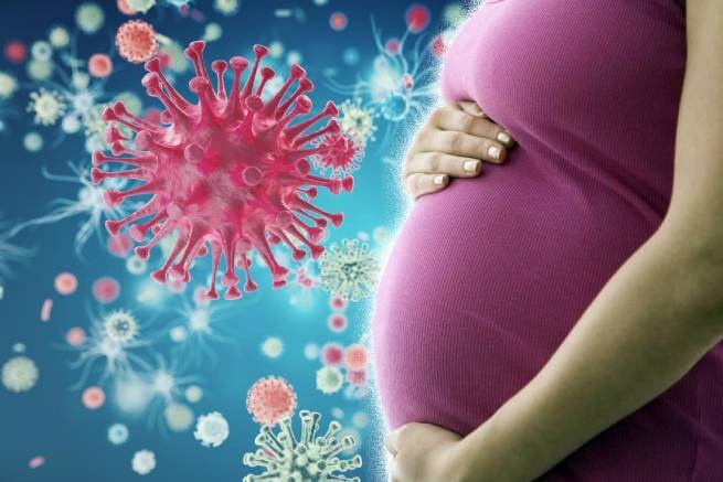 Организация гинекологов США призывает беременных сделать прививку