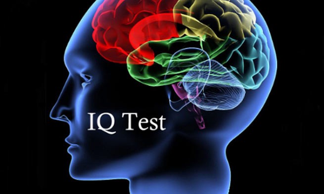 В какой стране самый высокий IQ в мире? Позиция Греции, России и Украины
