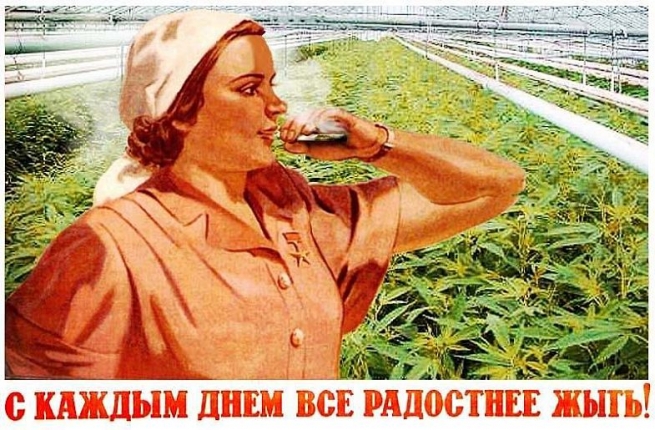 Советский мультик про марихуану ссылка на гидру официальный сайт новая ссылка