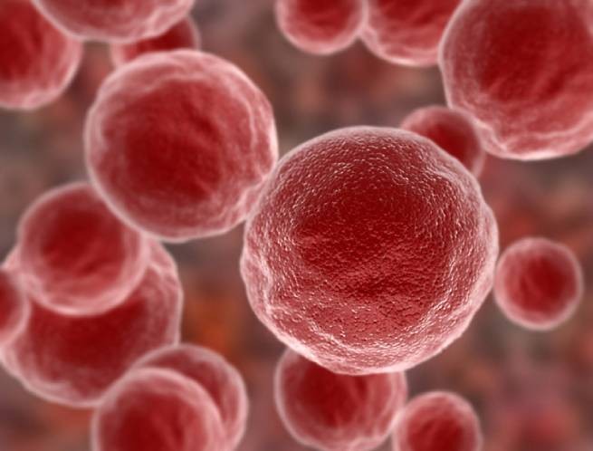 Новое в лечении онкологии:  механизм самоуничтожения поможет раковым клеткам убивать самих себя