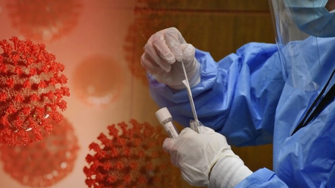 В Греции зарегистрированы 26 случаев мутировавшего штамма вируса SARS-CoV-2