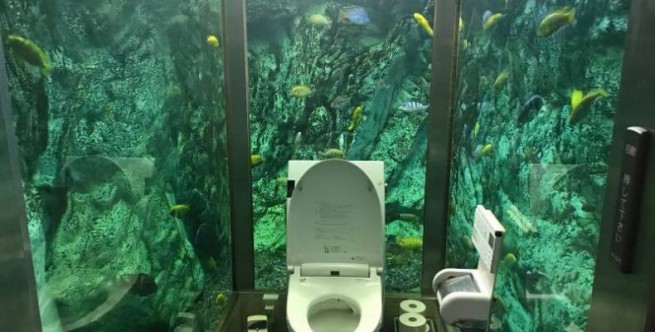 Туалет... в аквариуме!