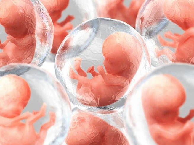 Прорыв в науке: созданы синтетические человеческие эмбрионы