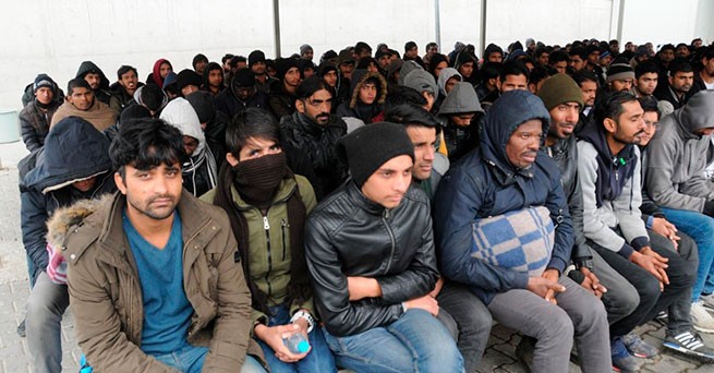 Правительство решает легализовать 180 000 нелегальных мигрантов для работы в качестве «земледельцев»