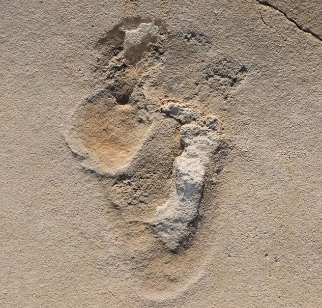 Следы прачеловека, обнаруженные на Крите, датируется возрастом более 6 млн. лет
