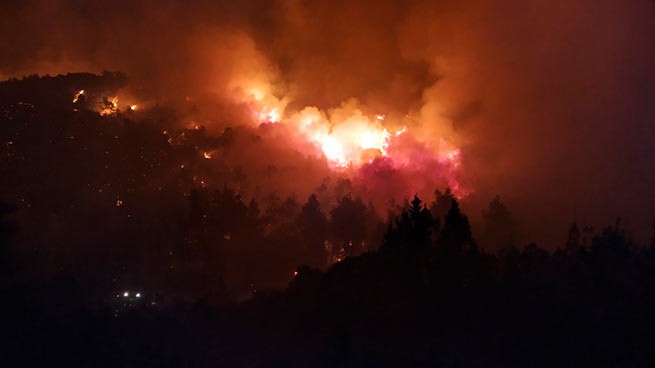 Греция: лесные пожары не затихают