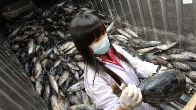 Чиновники Фукусимы: Люди должны перестать есть рыбу