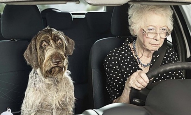 Изменения в обновлении водительских прав для пожилых