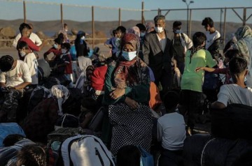На новый ВНЖ уже подали заявления 4790 мигрантов