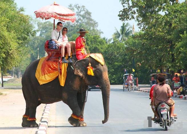 В Таиланде туристам будут вручать желтые и красные карточки