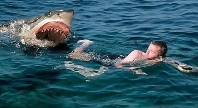 Греция: Осторожно, акулы